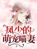 凤少的萌宠喵妻