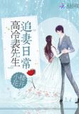 高冷裴先生追妻日常