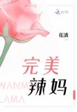 完美辣妈