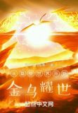 从墓综世界开始:金乌耀世