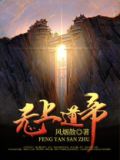 无上魂道小说
