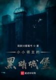 小小领主的黑暗城堡TXT下载