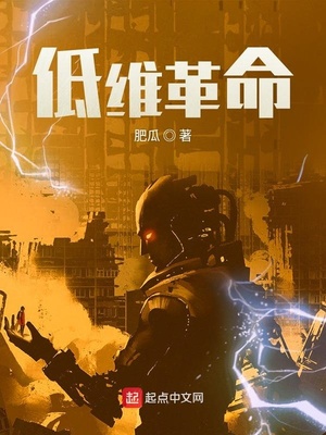 低维革命百度百科