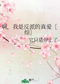 啊 我是反派的真爱