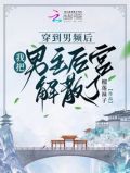 穿到男频后，我把男主后宫解散了