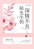 陆先生的深情不负小说免费阅读