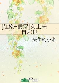 清穿红楼女主来自末世免费阅读