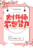 天才符师不想努力