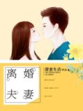 离婚夫妻