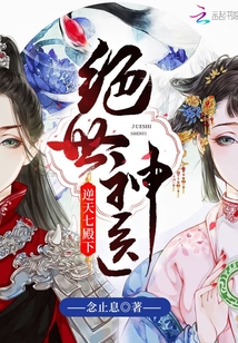 绝世神医逆天七殿下小说