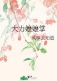 大力嬷嬷掌风享云知道