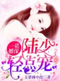 一诺婚深：陆少，轻点宠