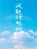风起时想你