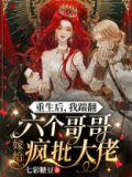 重生后,我踹翻六个哥哥嫁给疯批大佬 七彩糖豆