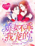 幸孕暖婚:娇妻不乖,我宠的