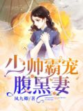 少帅霸宠腹黑妻