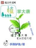植掌大唐好看吗