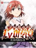 学园都市的lv0传说 小说