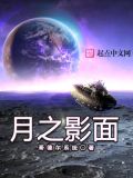 月之影面哥德尔系统