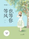 等风也等你小说讲的什么