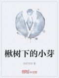 楸树下的小芽