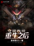 枪火重生守望先锋