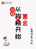 穿越系统游戏氪金小说