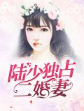 独占冷少,二婚