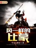 像风一样是比喻还是夸张