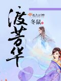 芳华不渡小说