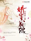娇宠小厨娘 叶枫轻语