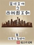 篮球主帅之西雅图王朝TXT