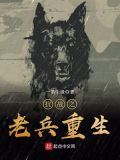 抗战之老兵重生