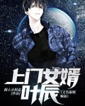 上门女婿叶辰