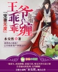 宠妻无度，王爷乖乖缠