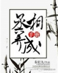 丞相的养成手册