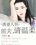 诱妻入怀：前夫，请温柔