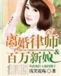 离婚律师与百万新娘
