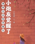 携带空间物资重生:小炮灰觉醒了