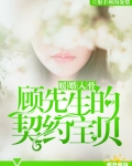 暖婚入骨：顾先生的契约宝贝
